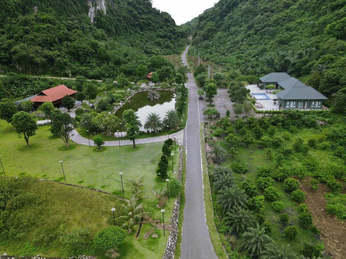 Anh duoi trai