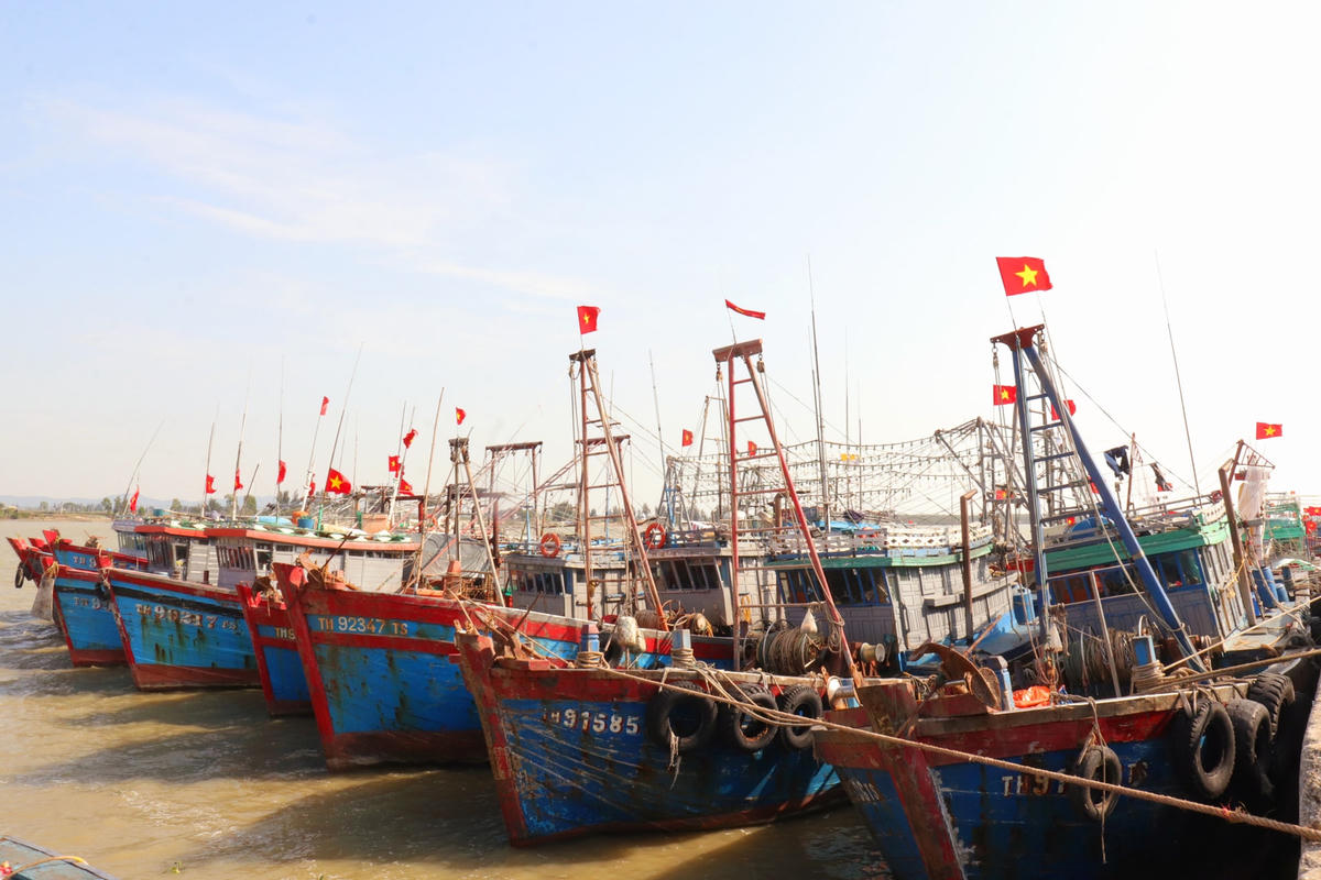 Tàu thuyền đánh bắt cá neo đậu tại cảng Lạch Hới (TP Sầm Sơn).