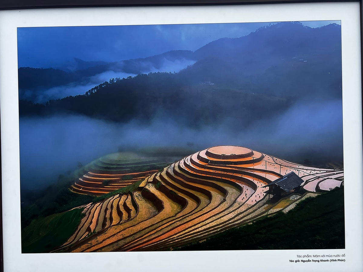 Mâm xôi mùa nước đổ. Ảnh: Nguyễn Trọng Khanh