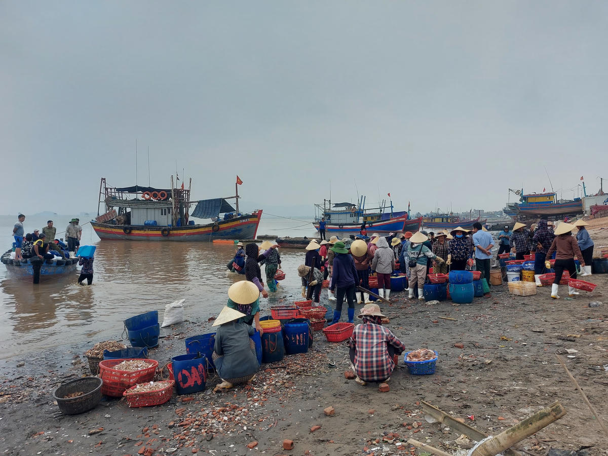 Toàn xã Ngư Lộc có trên 800 tàu thuyền lớn, nhỏ tham gia đánh bắt hải sản.