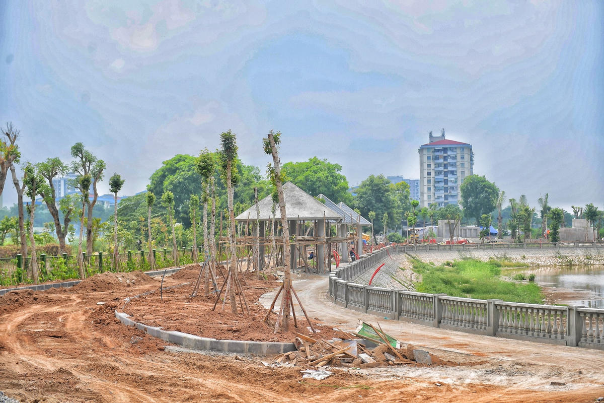 Hệ thống cây xanh đã được các đơn vị thi công trồng mới thay cho những cây đã chết.