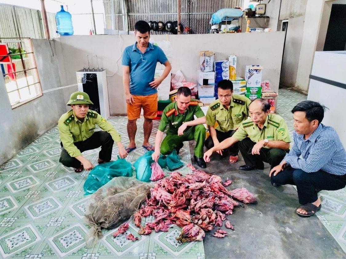 Lực lượng chức năng phát hiện 260 cá thể chim trời.