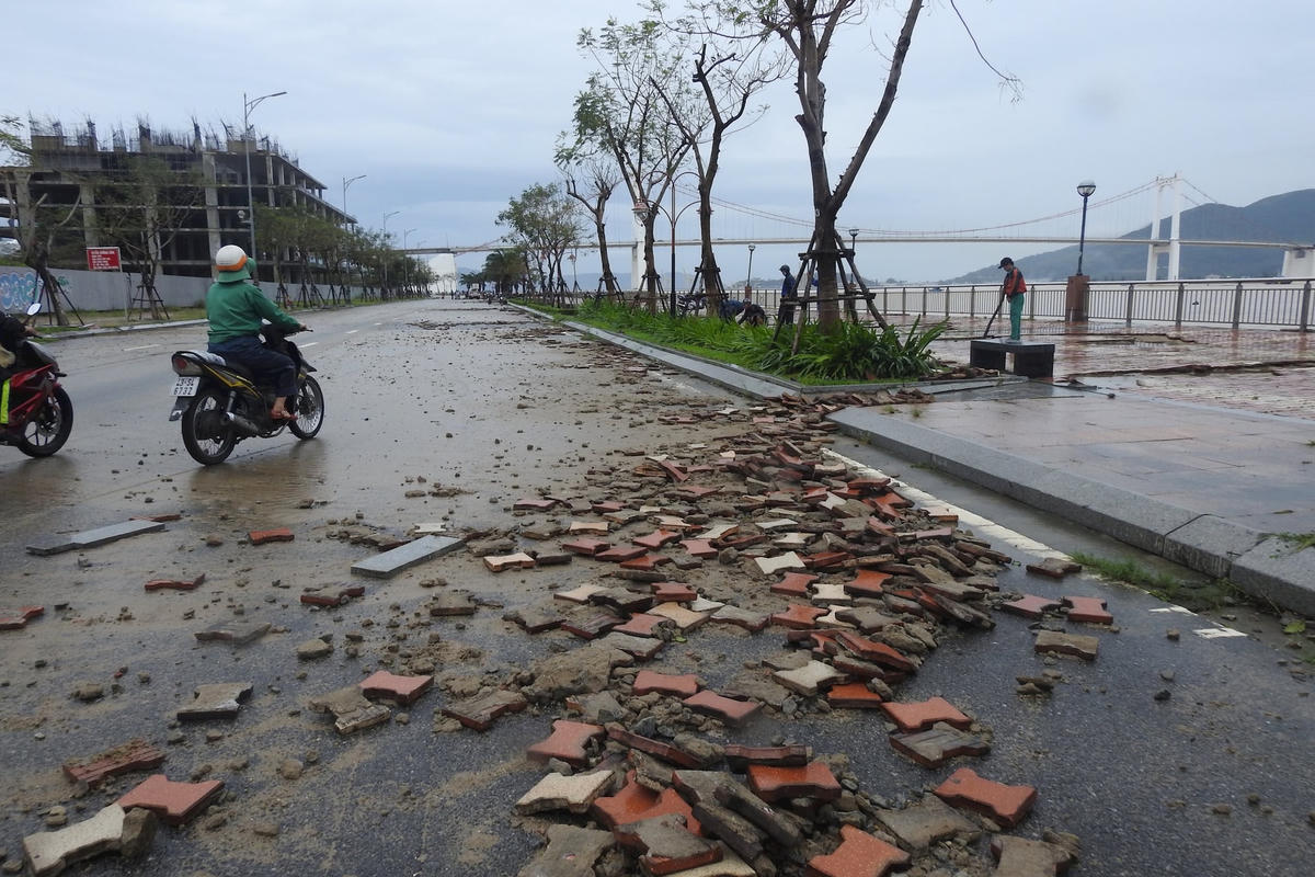 Ảnh 2. kè Như Nguyệt2847