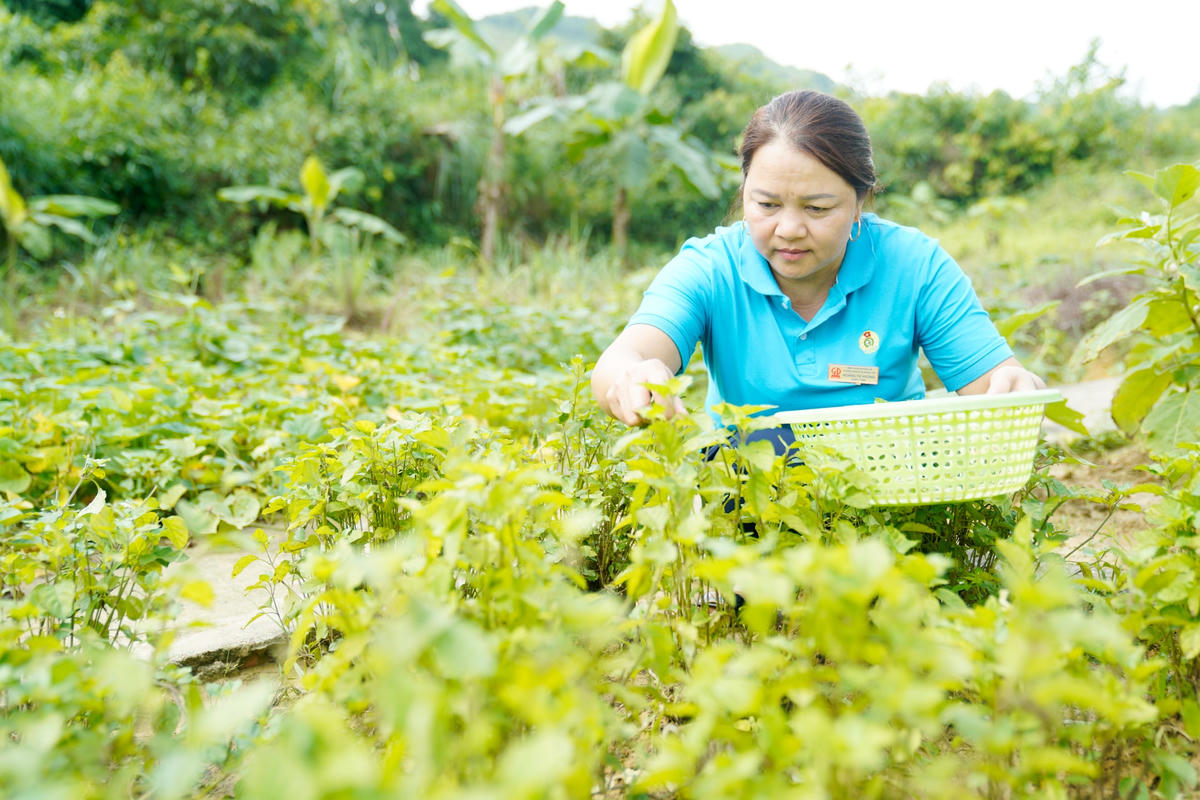 Suốt hơn 20 năm về với bản Rào Tre, cô giáo Hoàng Thị Hương chưa một lần bỏ lớp. Không đơn thuần là cô giáo dạy chữ, cô còn là y sĩ, họa sĩ, ca sĩ đem cả bầu trời yêu thương đến với những đứa trẻ dân tộc Chứt.