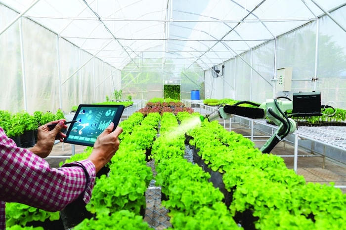 Với chuyển đổi số, nông nghiệp Đồng bằng sông Cửu Long sẽ có nhiều điều kiện để phát triển.  