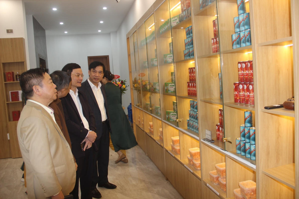 Showroom Võ Kim Đường tại TP Vinh là một trong 13 Showroom của Tập đoàn khai trương trong năm 2022.