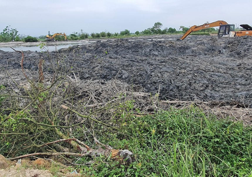 Trong quá trình thi công bờ kè tại xã Quảng Phước, nhà thầu đã san ủi nhiều diện tích rừng ngập mặn được trồng tại đây.