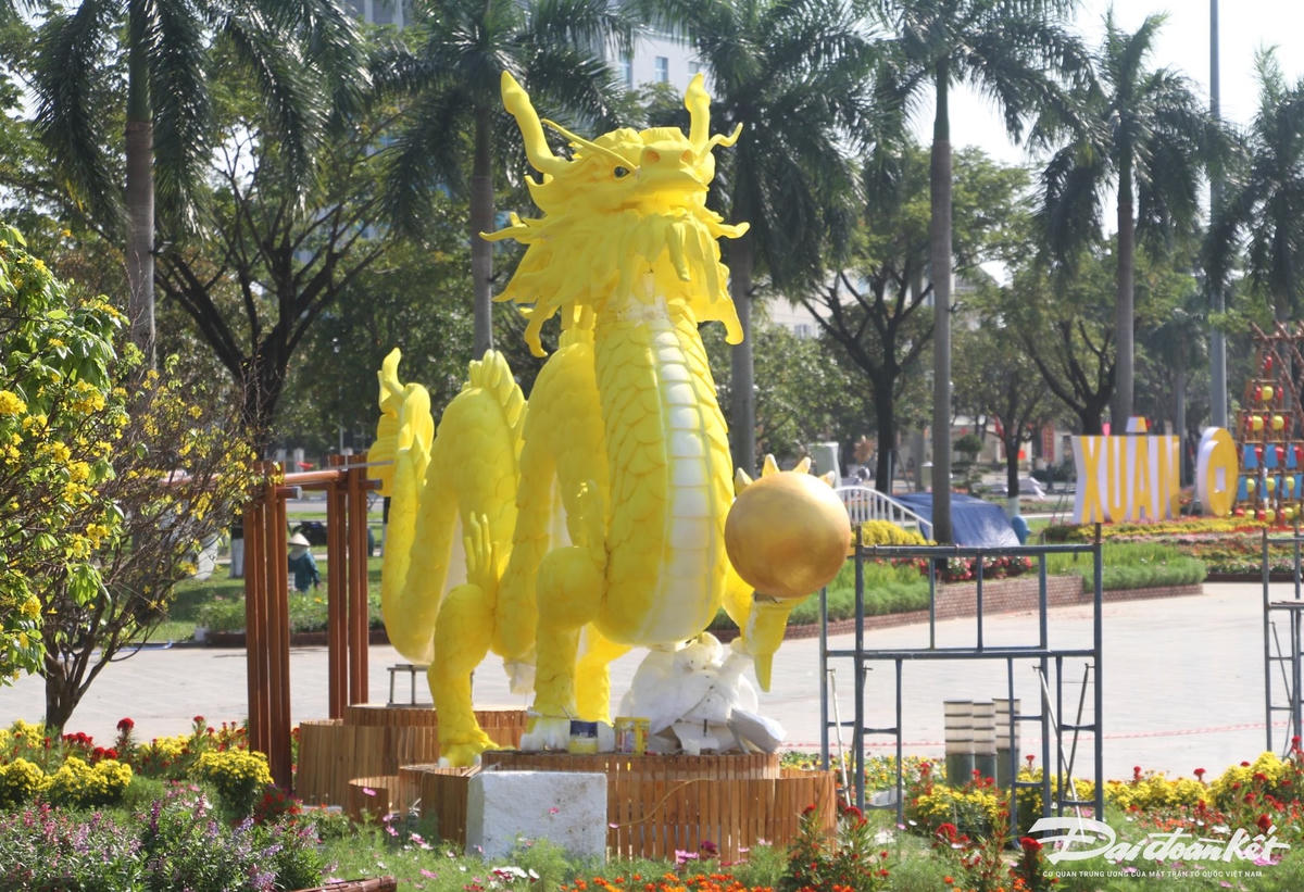 W_rong-10.jpg