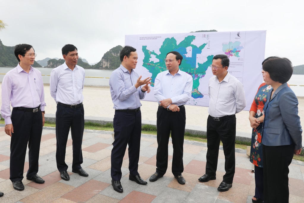 Phó Thủ tướng Chính phủ Trần Lưu Quang khảo sát một số khu vực vùng đệm Vịnh Hạ Long. Ảnh: QMG