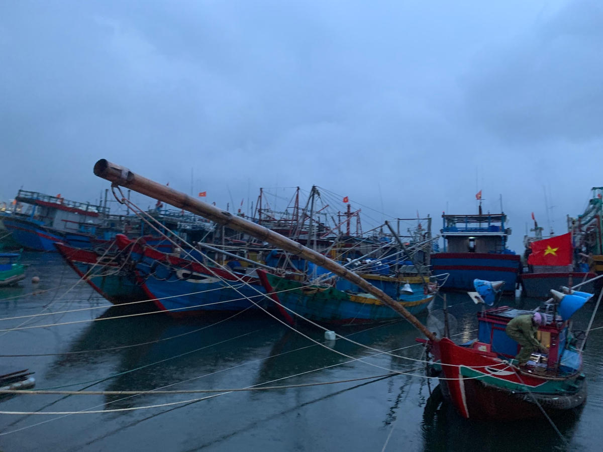 Khu neo đậu tàu thuyền tại cảng Triệu An, Quảng Trị chiều 27/9
