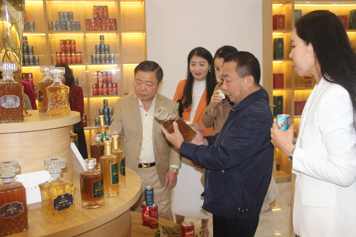 Ông Võ Kim Cự, Chủ tịch Tập đoàn giới thiệu với lãnh đạo tỉnh Nghệ An về các sản phẩm của Sâm Ngọc Linh tại buổi lễ khai trương.