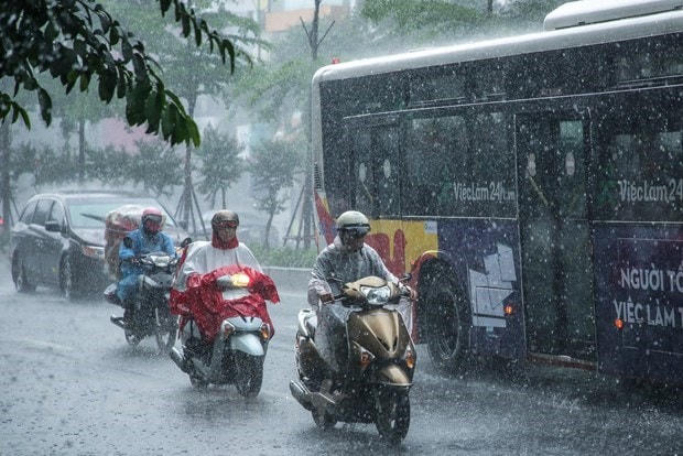 Ảnh minh họa: Lê Minh Sơn/Vietnam+