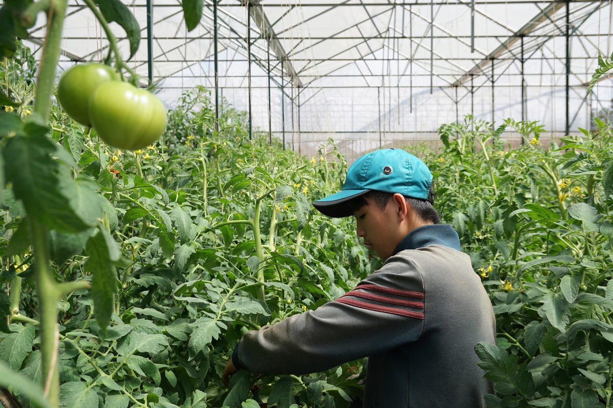 Nhiều cơ hội cho sản phẩm hữu cơ của doanh nghiệp trong nước phát triển. Ảnh: Quang Vinh.