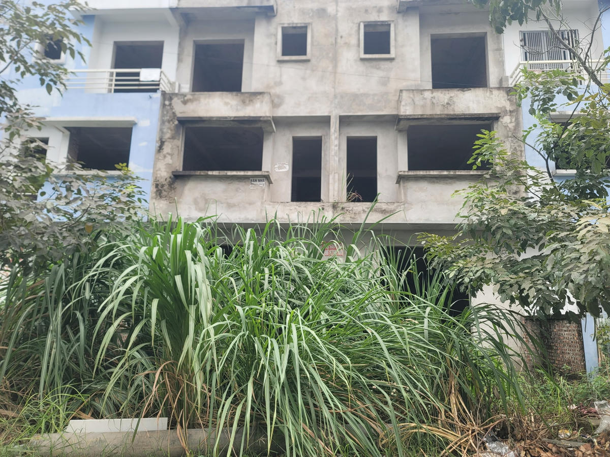 Cỏ dại mọc chắn hết lối vào.