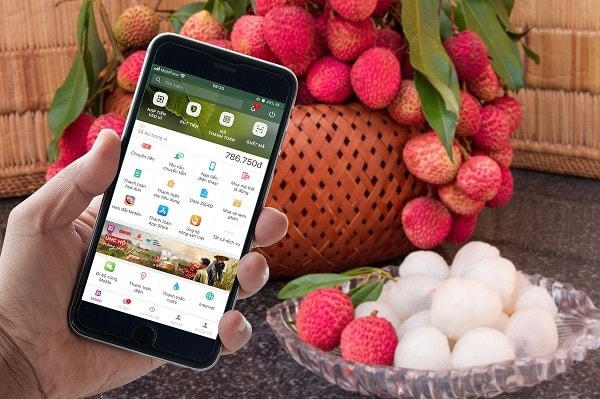 Tỉnh Bắc Giang chủ động phân phối, mở rộng kênh tiêu thụ trái vải cho người dân địa phương. Nguồn: Công thương.