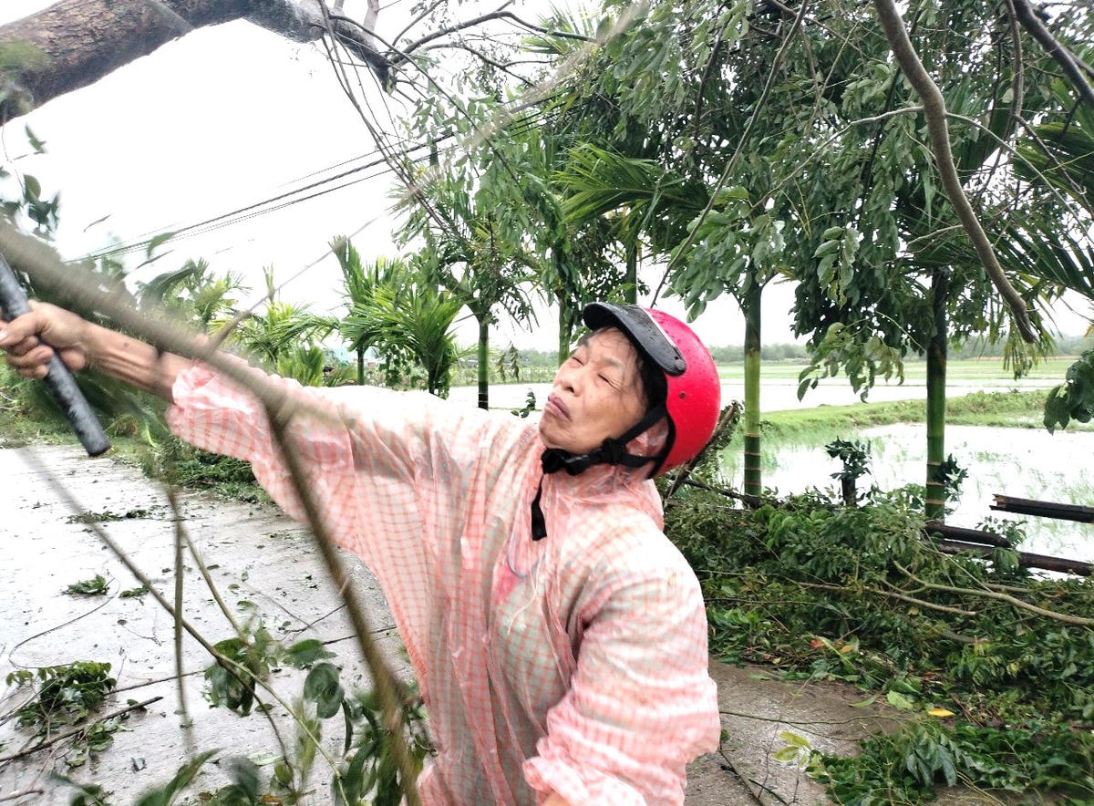 Bà Nguyễn Thị Năm chặt cành cây ngã ra đường.