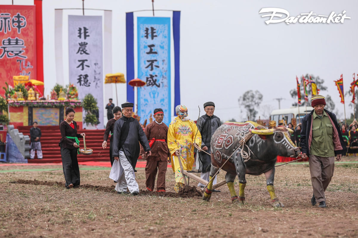 Những sá cày đầu tiên của Lễ hội Tịch điền năm 2023.