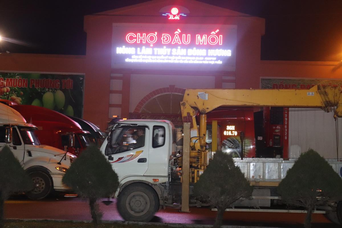 Chợ đầu mối rau quả, thực phẩm Đông Hương (thuộc phường Đông Hương và Đông Sơn, TP Thanh Hóa) được xem là chợ đầu mối lớn nhất tỉnh Thanh Hóa. Tại đây có tới 700 ki-ốt kinh doanh cố định và 500 điểm kinh doanh không cố định nên có rất đông "cửu vạn" mưu sinh ở đây.
