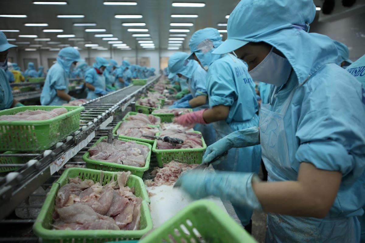 Ngành thủy sản đặt mục tiêu năm 2023 đạt kim ngạch xuất khẩu 10 tỷ USD. Ảnh: Quang Vinh.