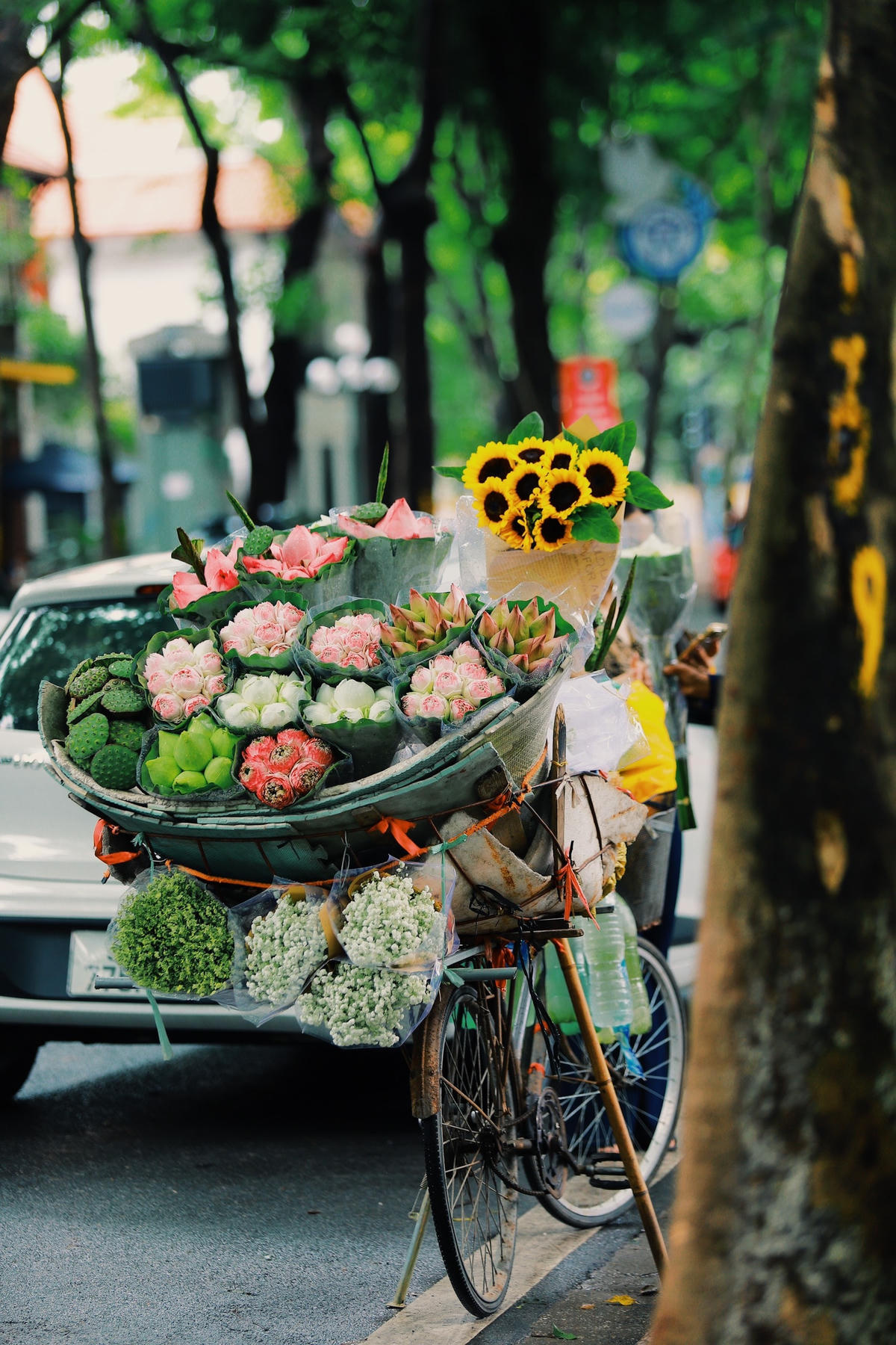Chủ đạo trong mỗi thúng hoa mùa này thường là những nụ sen trắng, hồng chúm chím. Ảnh: Hoàng Đỗ.  