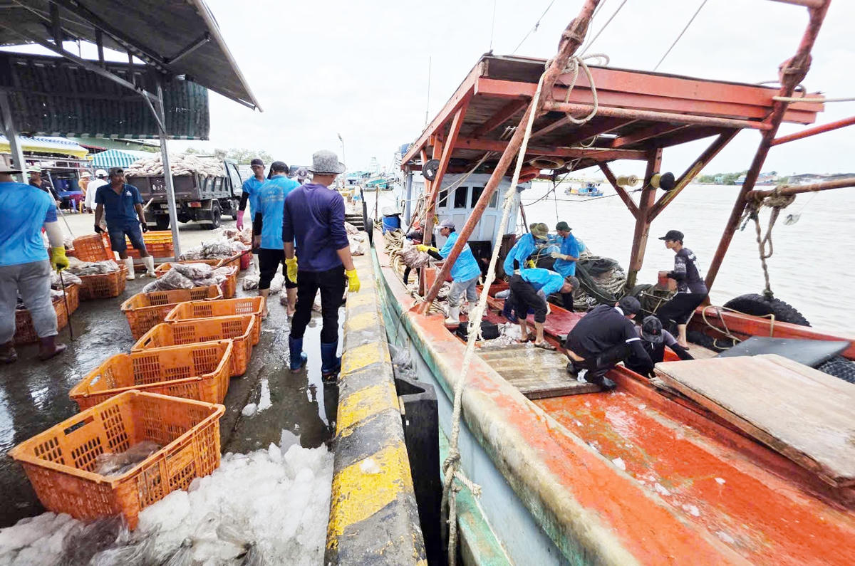 ẢNH 1 Cảng cá Gành Hào, tỉnh Cà Mau