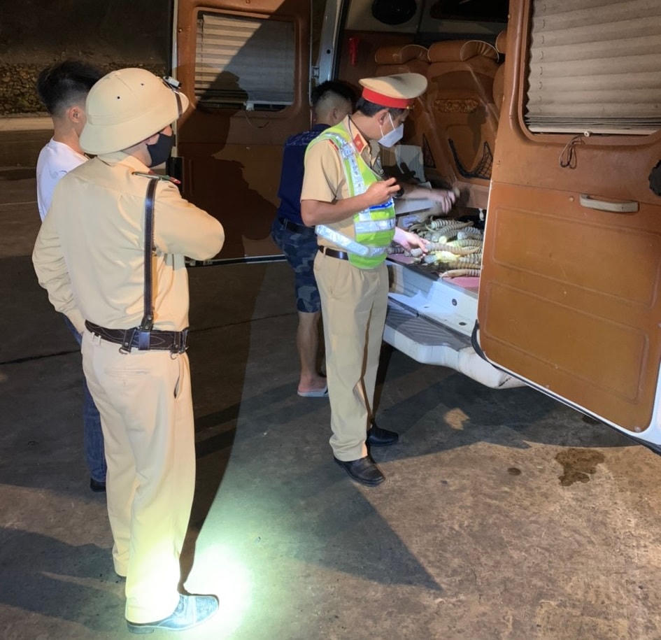 Cảnh sát giao thông phát hiện vụ vận chuyển 25kg sừng động vật nghi là sừng linh dương. Ảnh: CA Quảng Ninh.