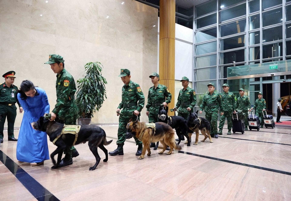 Đội chó nghiệp vụ trở về sau hơn một tuần hoàn thành nhiệm vụ tại Myanmar. (Ảnh: An Đăng/TTXVN)