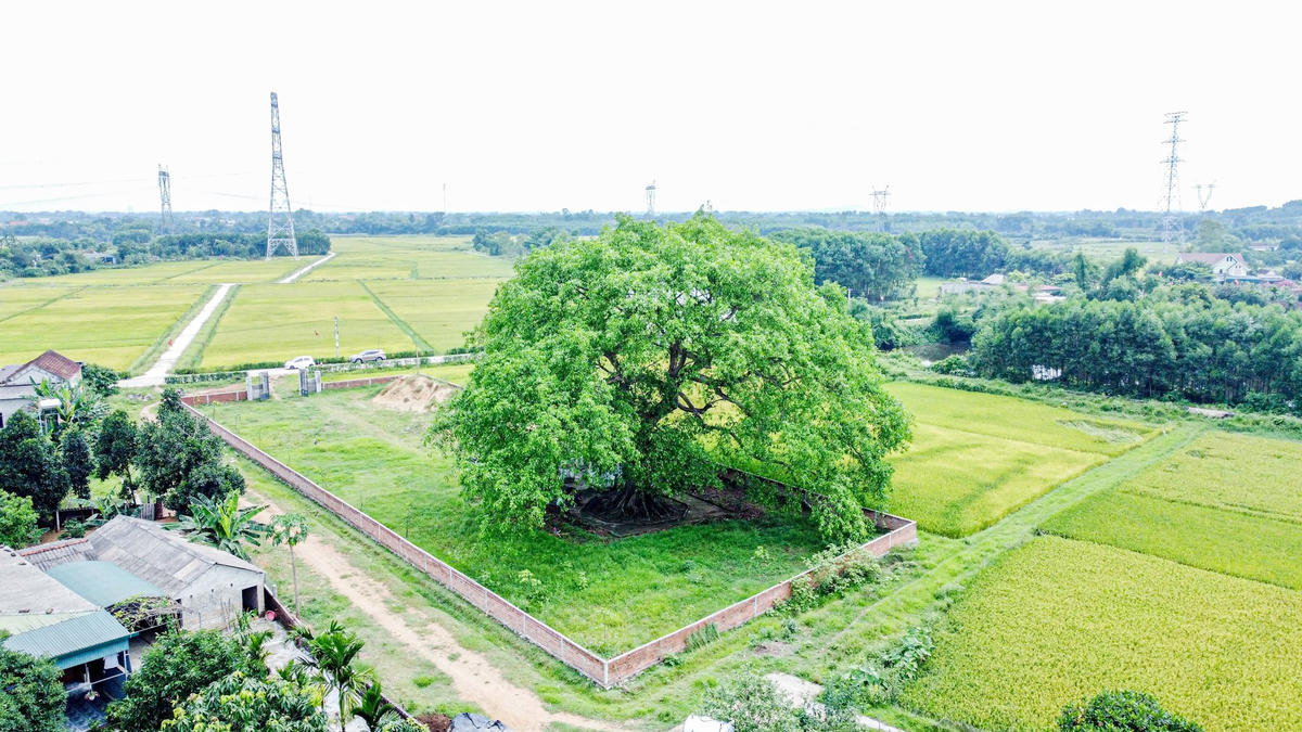 dji_0006.jpg
