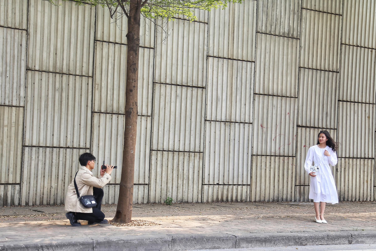 Thiếu nữ tạo dáng dưới hàng cây bàng đang thay lá.