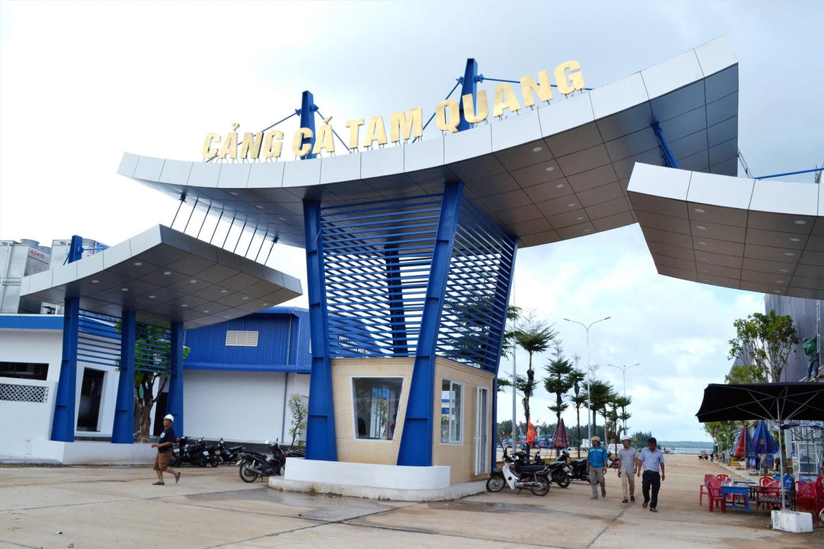 Một góc cảng cá Tam Quang.