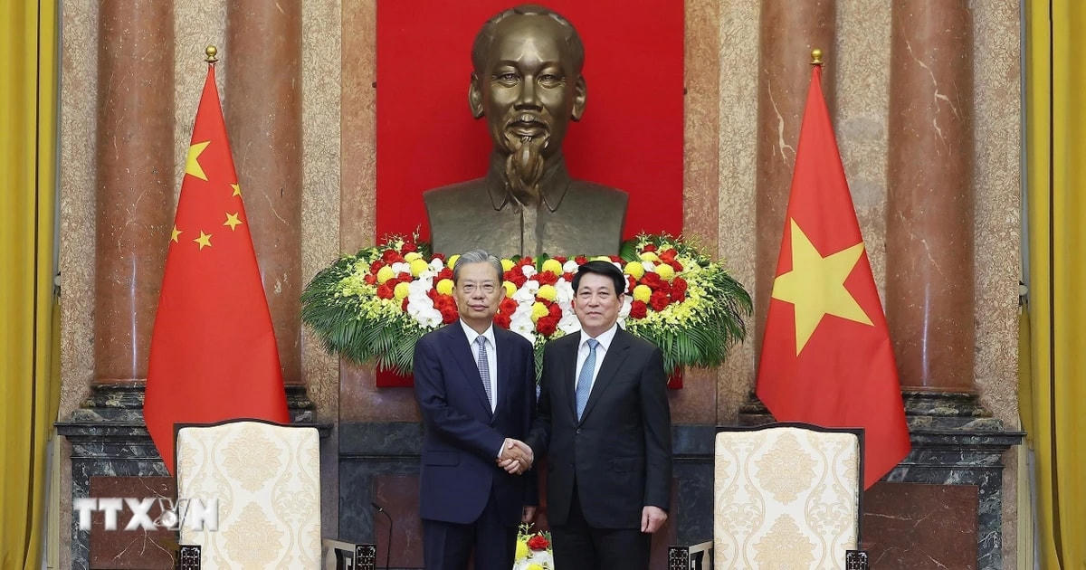 Chủ tịch nước Lương Cường tiếp Ủy viên trưởng Nhân đại toàn quốc Trung Quốc Triệu Lạc Tế. (Ảnh: Lâm Khánh/TTXVN)