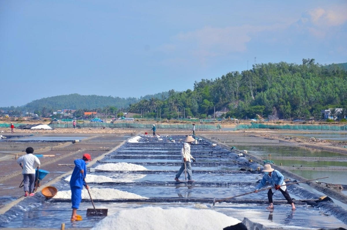 Diêm dân đang thu hoạch muối mà mình sản xuất.