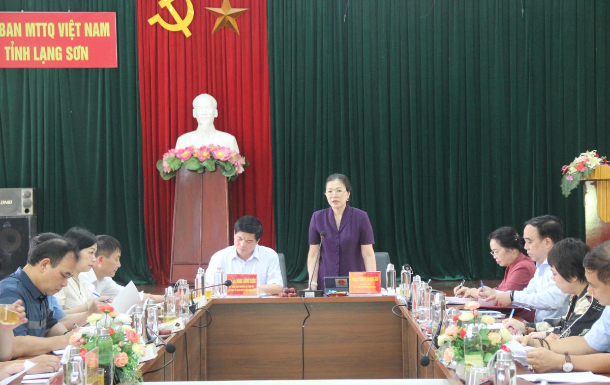 Phó Chủ tịch Trương Thị Ngọc Ánh phát biểu tại buổi kiểm tra. Ảnh: Hoàng Huấn.