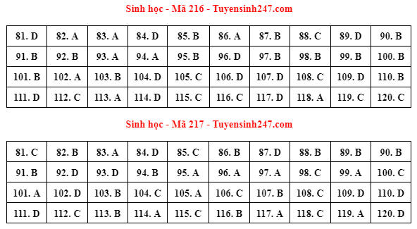 Gợi ý lời giải đề thi tốt nghiệp THPT 2023 bài tổ hợp Khoa học Tự nhiên