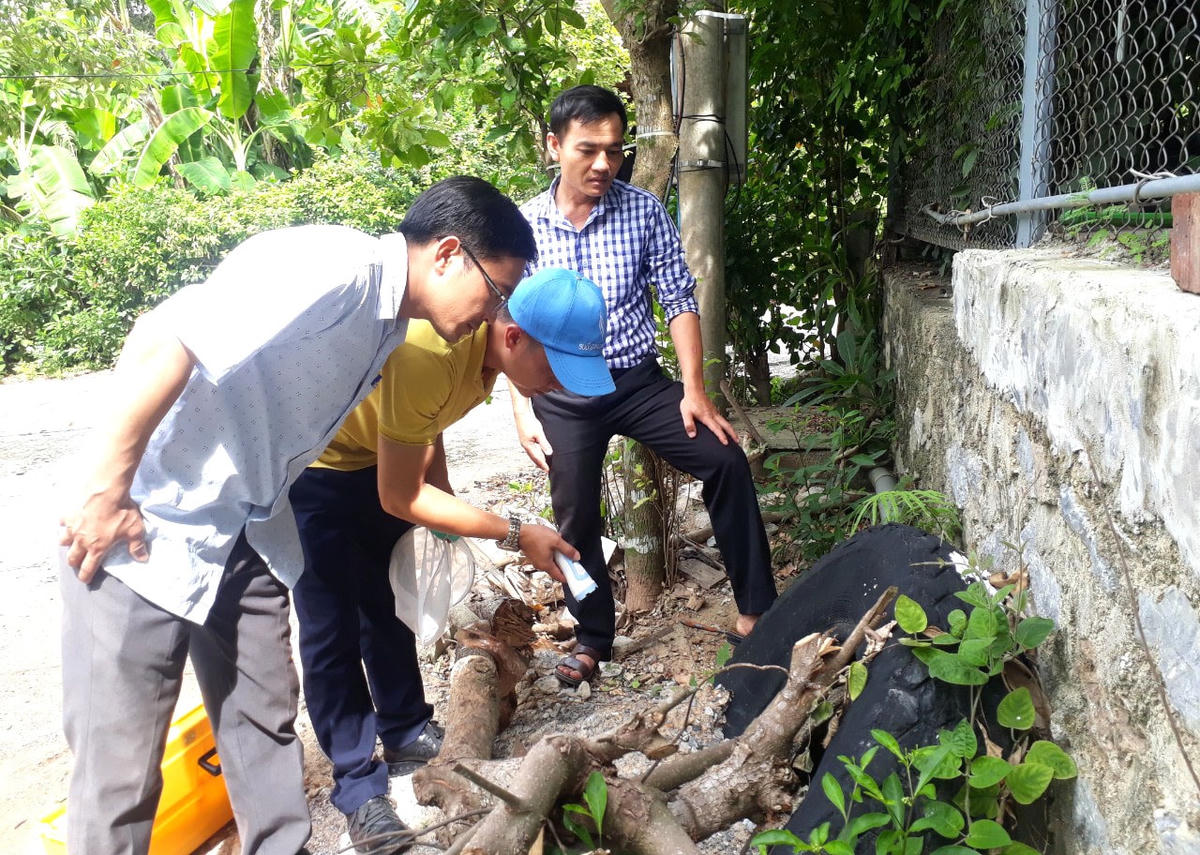 Cán bộ Trung tâm Kiểm soát bệnh tật tỉnh Quảng Bình đang điều tra giám sát chỉ số côn trùng.