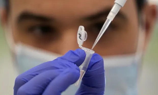 Trình tự DNA sẽ xác định các loài virus, vi khuẩn và nấm. Ảnh: AP.