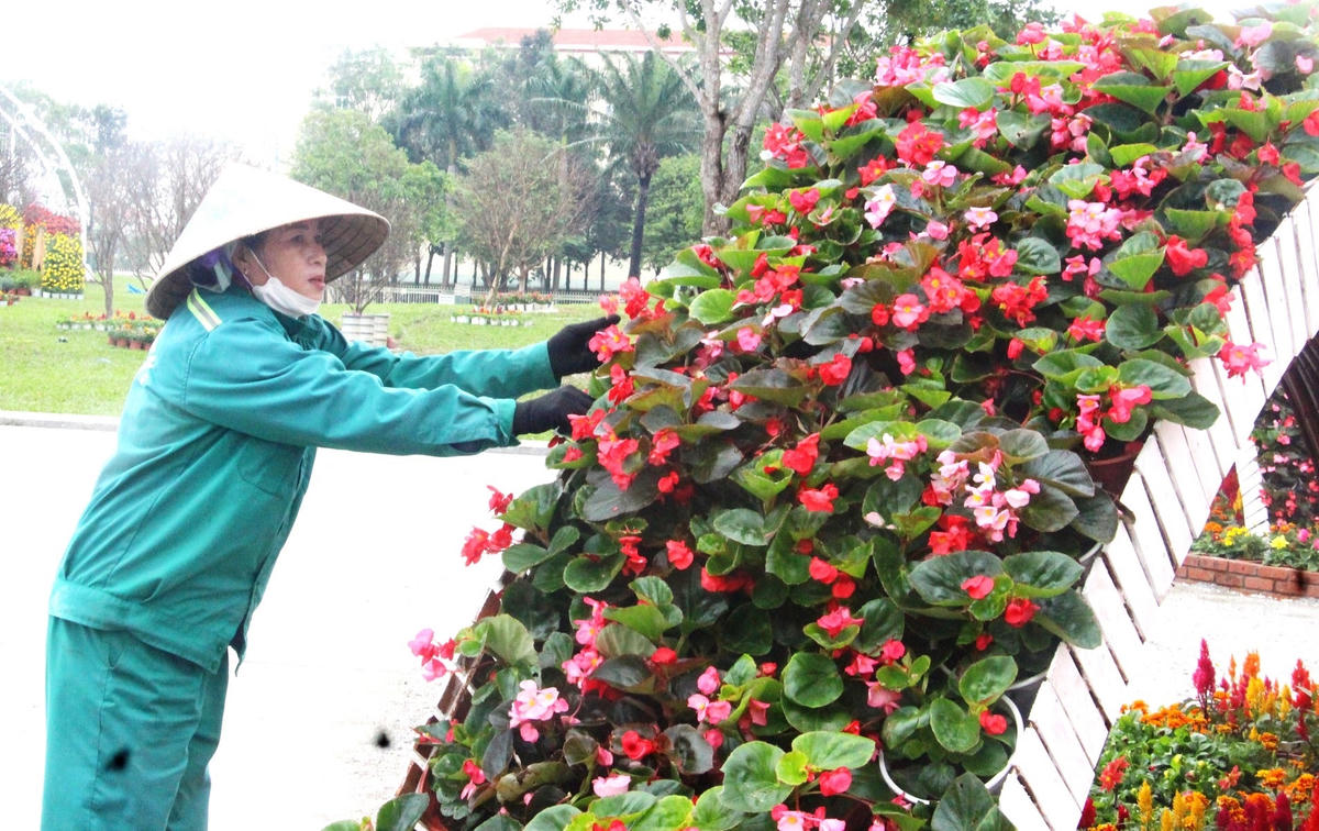 Công nhân kiểm tra các chậu hoa để lên trang trí.