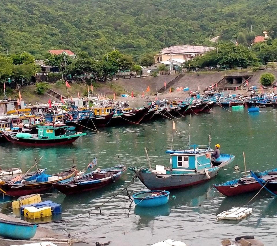 Nhiều tàu thuyền đã vào trú tránh bão Noru ở âu thuyền.