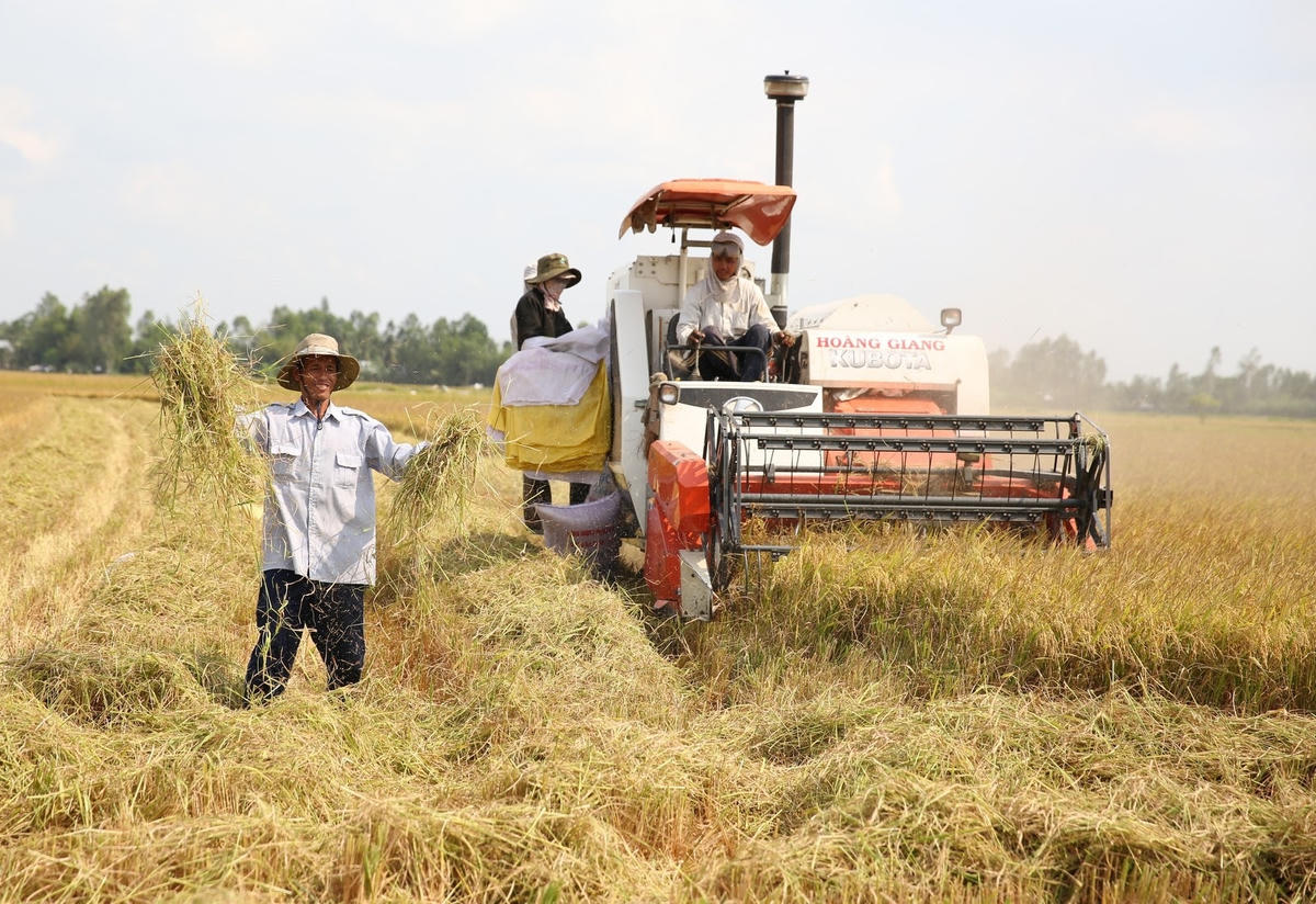 Đời sống của nông dân vẫn còn nhiều khó khăn. Ảnh: Quang Vinh.