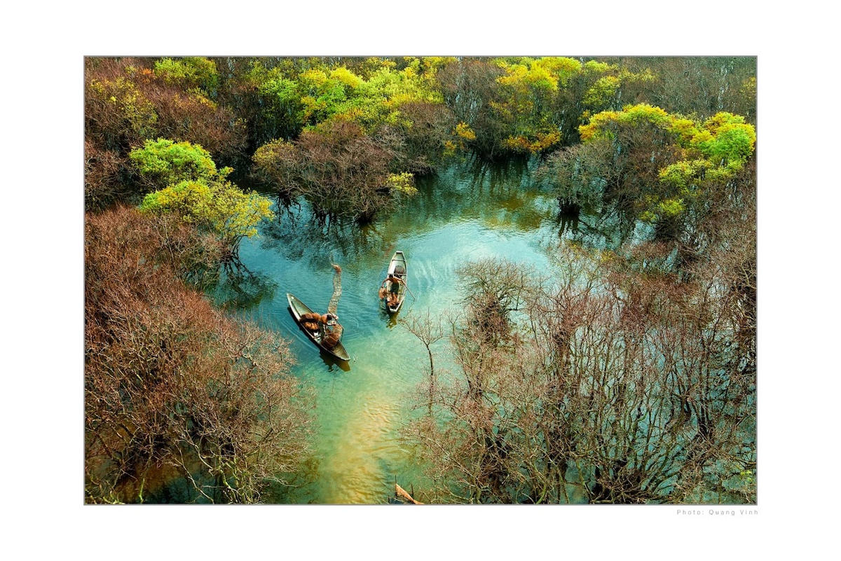 Rừng Rú Chá, Huế.