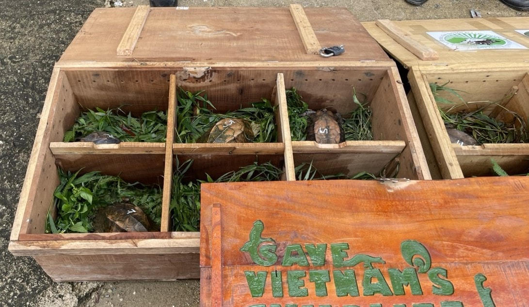 Lực lượng Công an thu giữ nhiều động vật hoang dã trái phép.