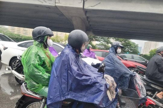 t1.jpg