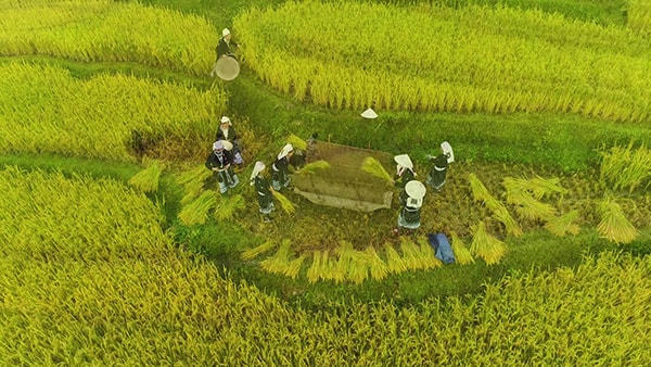 Lưu giữ ngày mùa lúa chín với những vật dụng đong đầy “chất quê” có từ thủa ông cha truyền dạy, để không mất đi giá trị văn hóa đặc sắc cho các thế hệ mai sau.