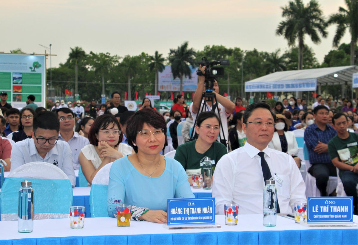 trien-lam-3-1ac6cec3f64e8b1c7110a8964256843b.jpg