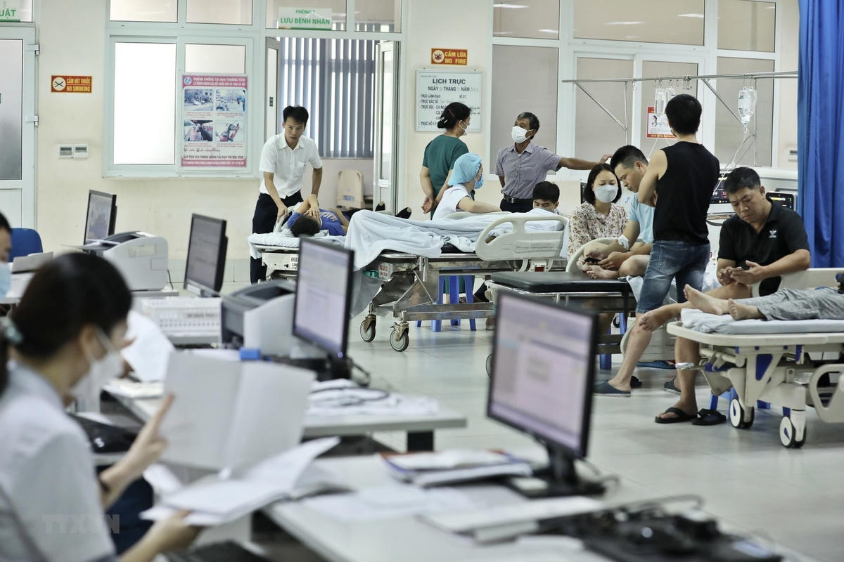 Số ca mắc sốt xuất huyết đang có chiều hướng gia tăng tại các tỉnh, thành phố. Ảnh: TTXVN