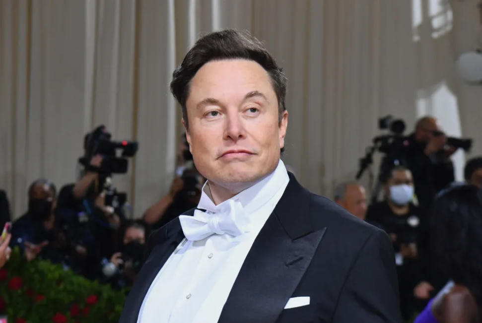 Elon Musk thách Zuckerberg đấu võ đài. Ảnh: AFP.