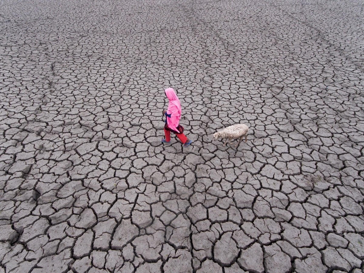 Trái đất nóng lên, khô hạn xảy ra nhiều nơi trên thế giới.Nguồn: Earth.org.  