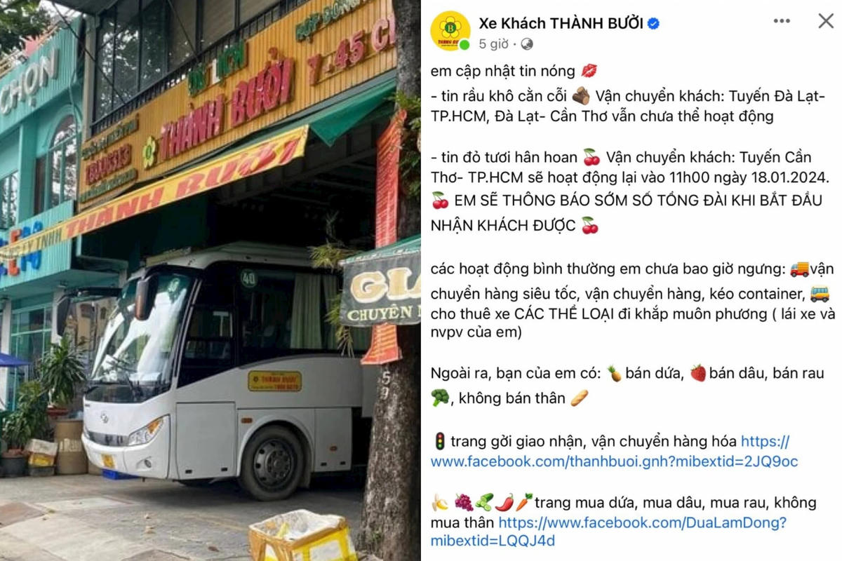 thanh-buoi-1-11554652.jpeg