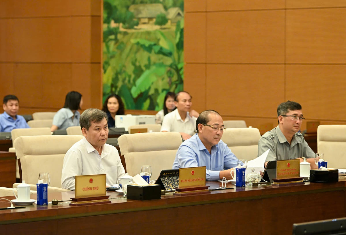 toancanh11-8.jpg