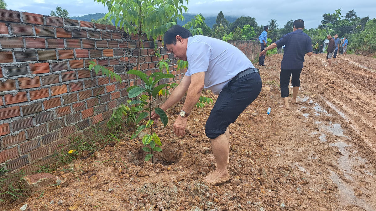 Hình ảnh người dân trồng rừng tại ấp Bún Gọi, xã Cửa Dương.